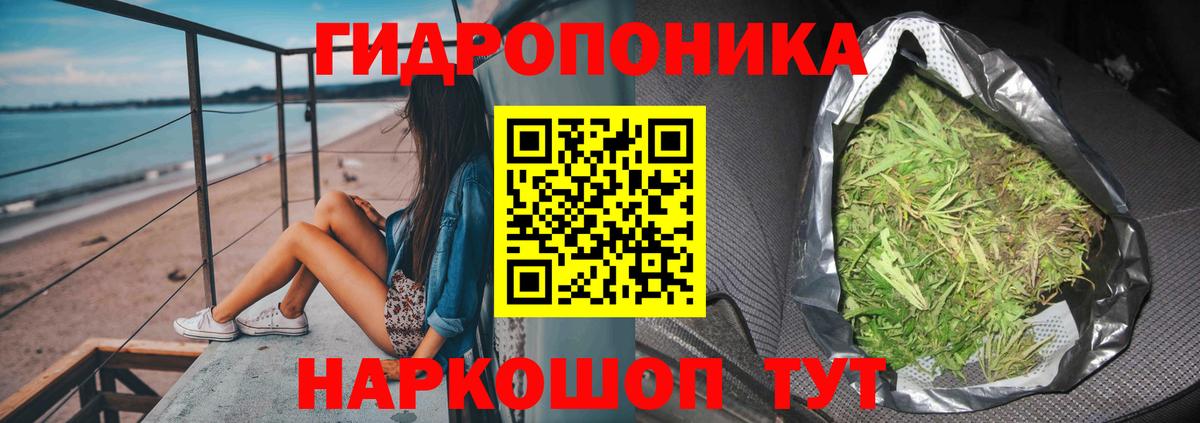 Каннабис конопля Ставрополь